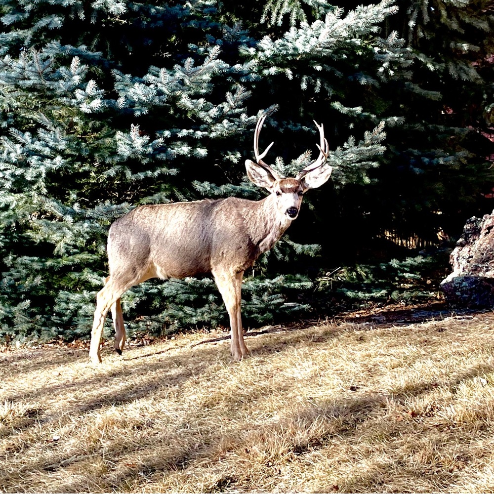 Meet your Posher, Brian